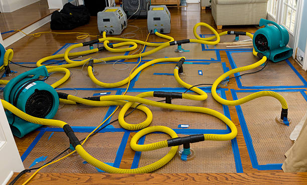 Professional Crawl Space Water Removal technician working in Huntington Beach, CA
